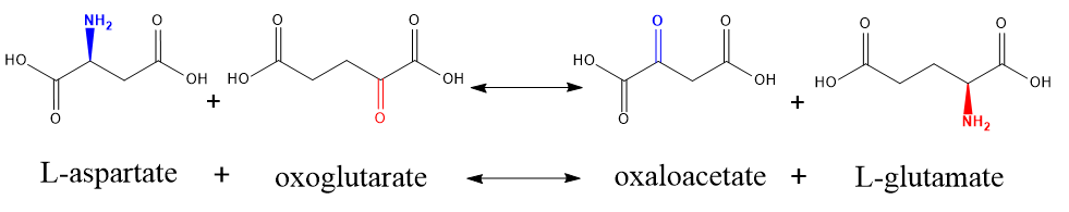 Chemical reaction picture